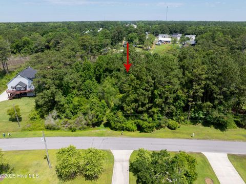 Tiny photo for 331 Chadwick Shores Drive, Sneads Ferry, NC 28460 (MLS # 100559279)