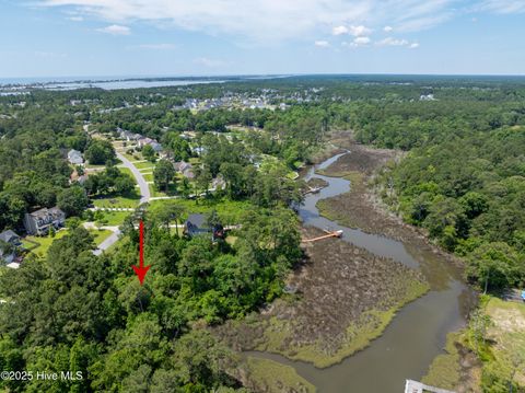 Tiny photo for 331 Chadwick Shores Drive, Sneads Ferry, NC 28460 (MLS # 100559279)