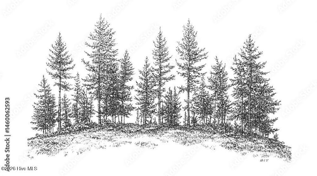 Photo of 0 Longview Drive E, Wilson, NC 27893 (MLS # 100563641)