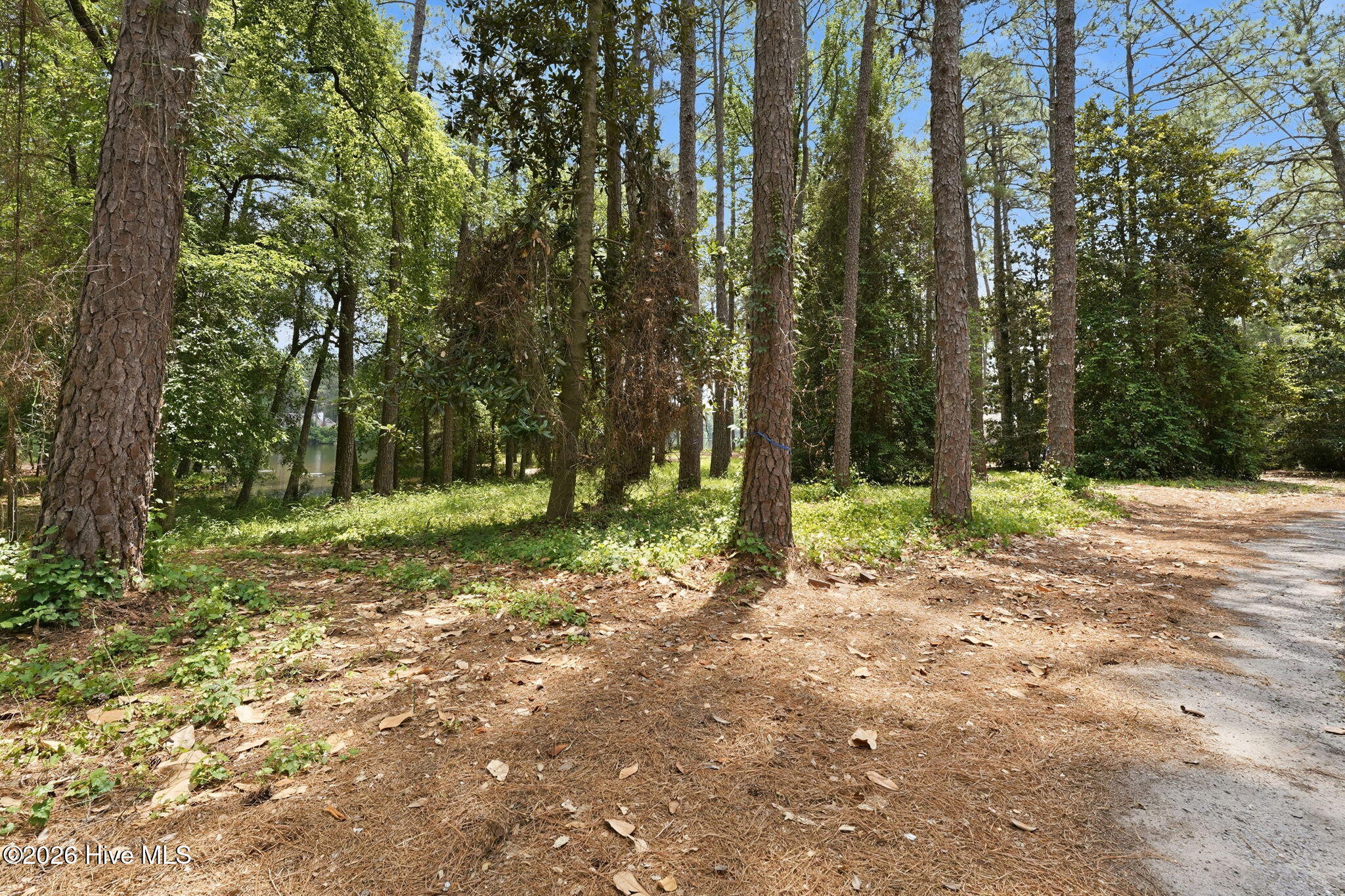55 Apawamis Circle