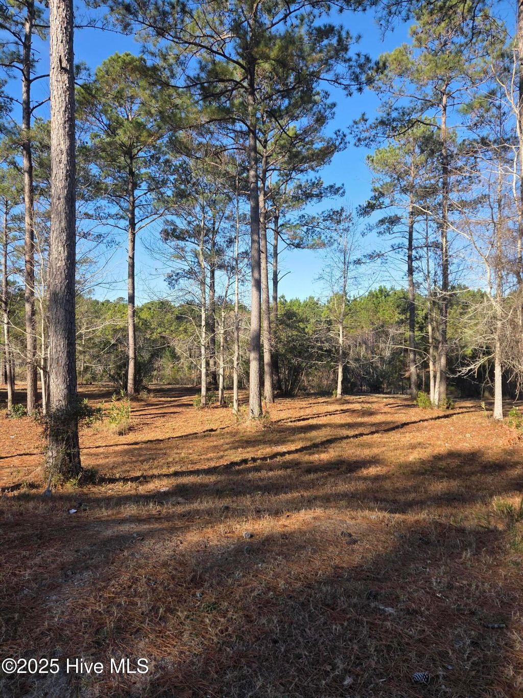 Photo of 7483 Donegal Circle SW, Sunset Beach, NC 28468 (MLS # 100546269)