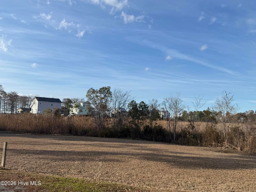 Photo of 53 Bayside Drive, New Bern, NC 28560 (MLS # 100556257)