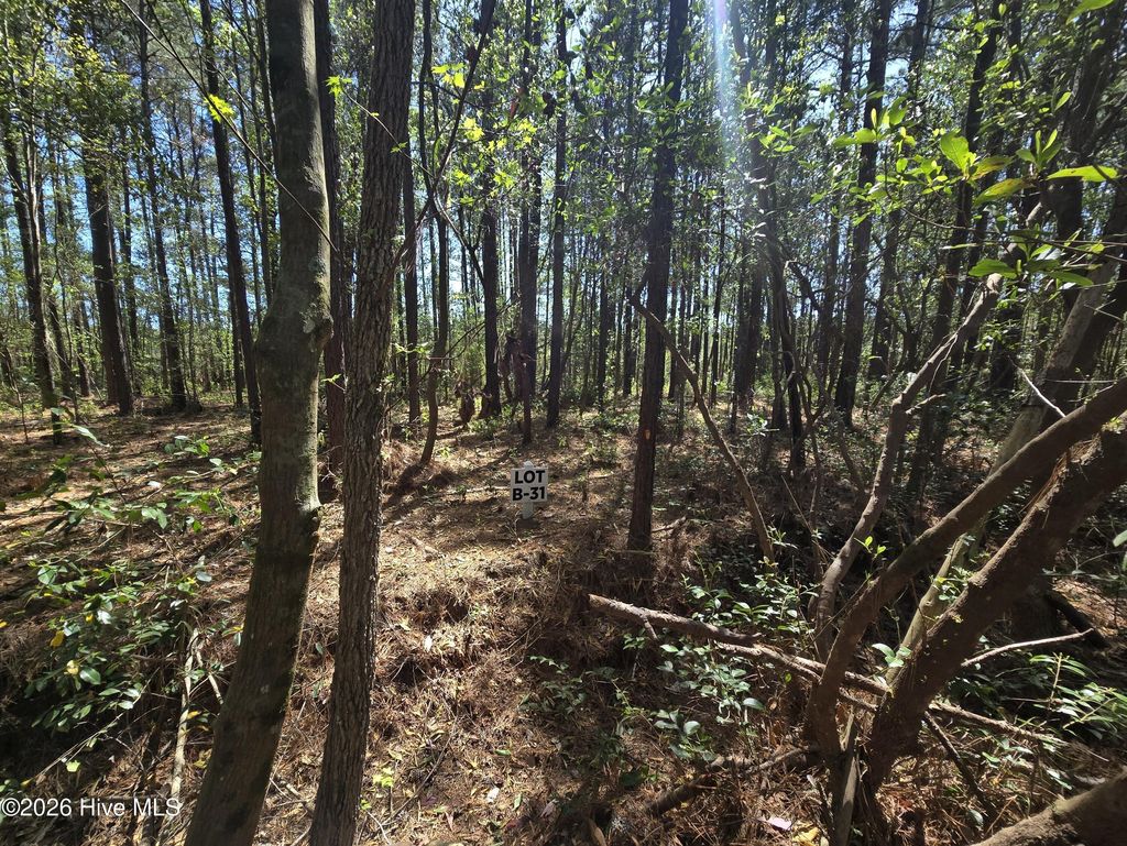 Photo of 31 Renee Drive, Hampstead, NC 28443 (MLS # 100567167)