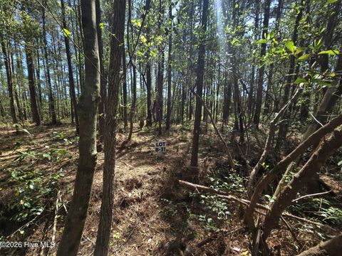 Tiny photo for 31 Renee Drive, Hampstead, NC 28443 (MLS # 100567167)