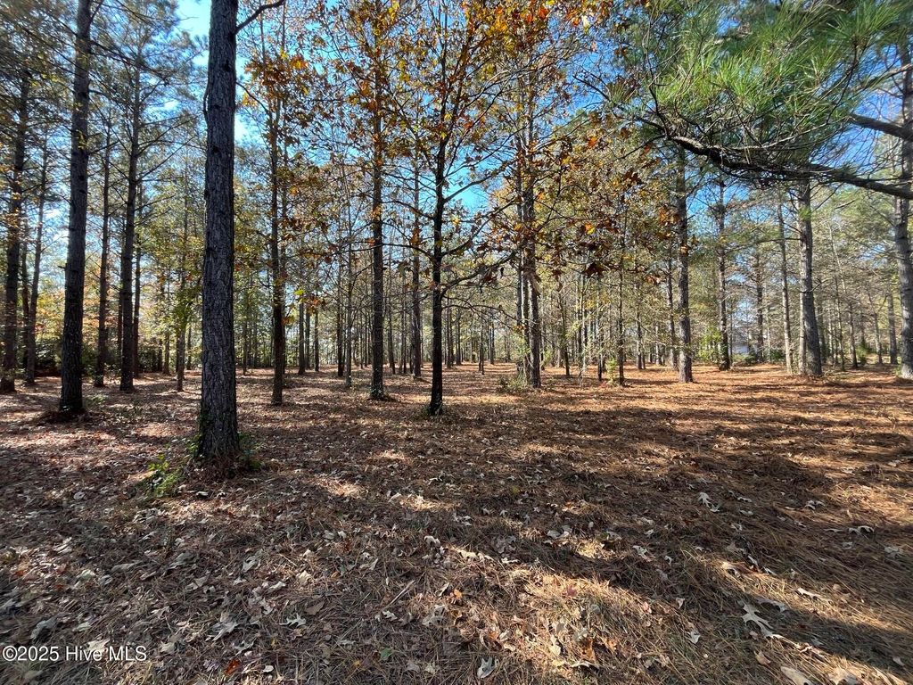Photo of 45 N Berne Landing Road, New Bern, NC 28560 (MLS # 100504725)