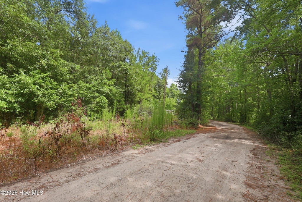 Photo of 0 Copperhead Lane, Burgaw, NC 28425 (MLS # 100592232)