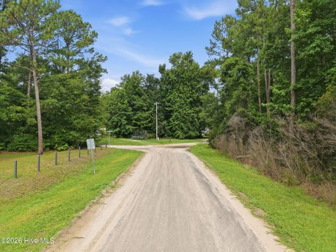 Tiny photo for 0 Copperhead Lane, Burgaw, NC 28425 (MLS # 100592232)