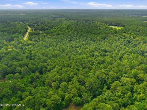 Tiny photo for 0 Copperhead Lane, Burgaw, NC 28425 (MLS # 100592232)