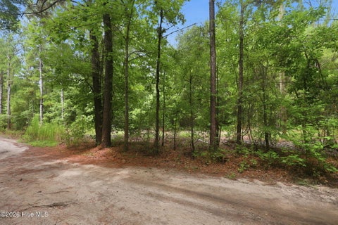 Tiny photo for 0 Copperhead Lane, Burgaw, NC 28425 (MLS # 100592232)