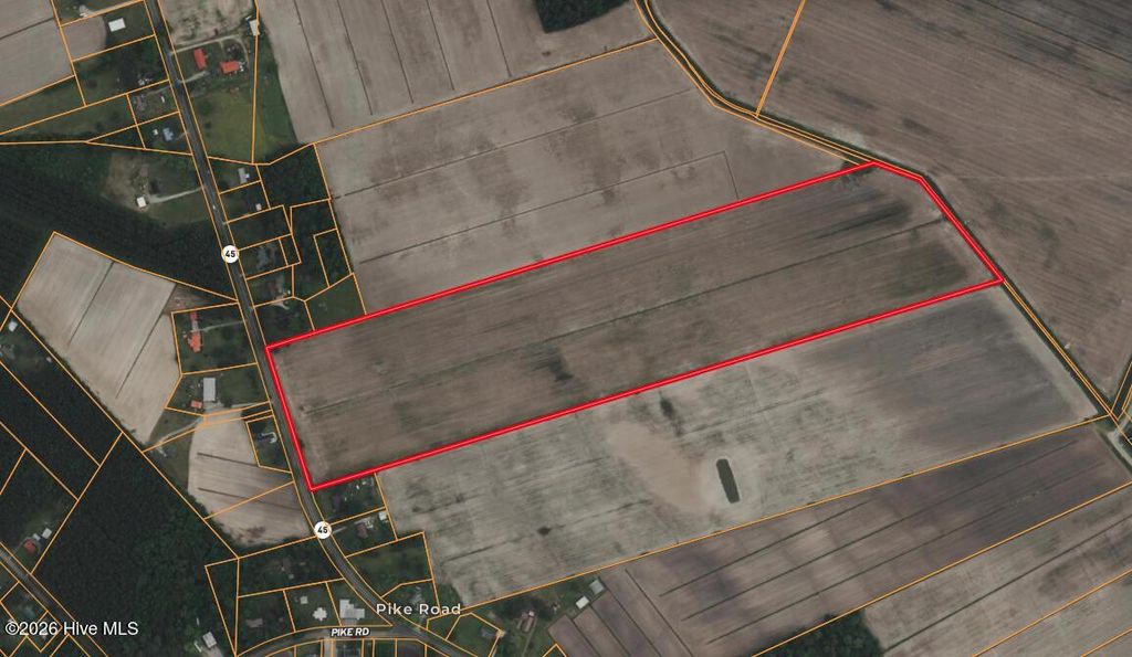 Photo of 0 Nc 99, Pantego, NC 27860 (MLS # 100555818)