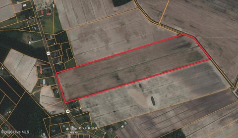 Vacant Land For Sale - Nc 99<br/> Pantego, NC 27860