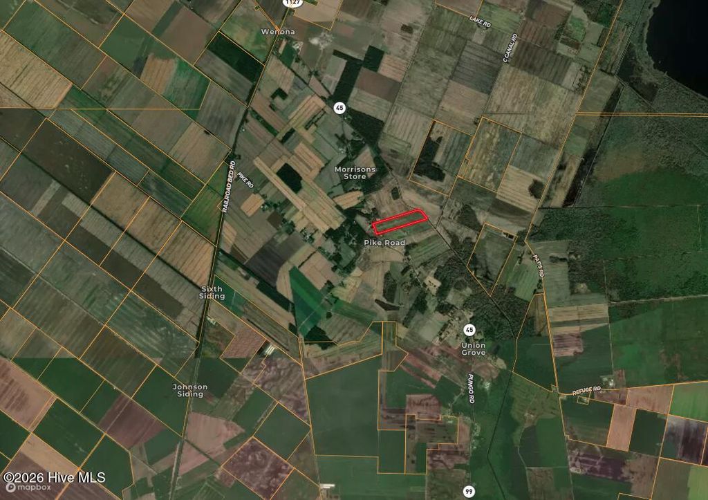 Photo of 0 Nc 99, Pantego, NC 27860 (MLS # 100555818)