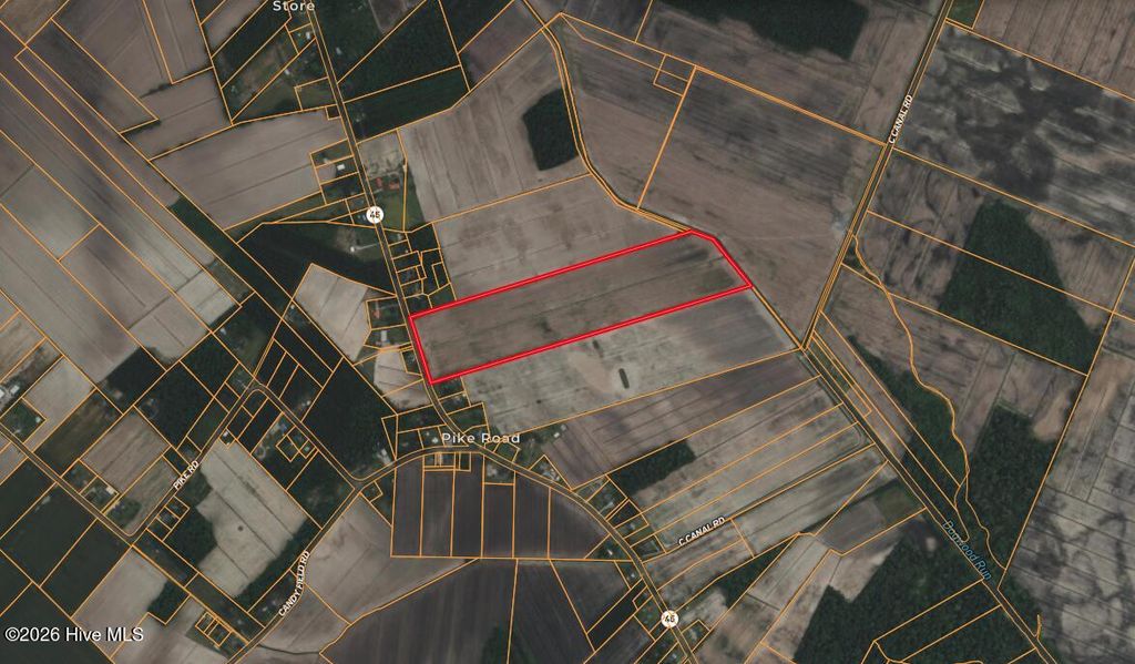 Photo of 0 Nc 99, Pantego, NC 27860 (MLS # 100555818)