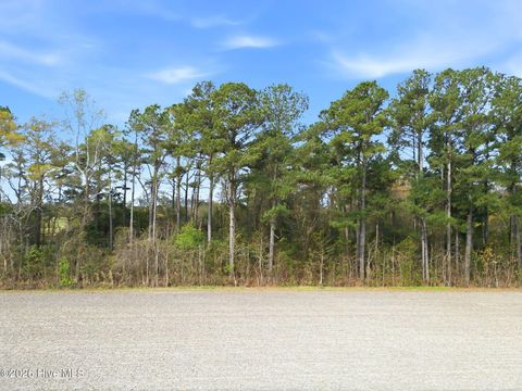 Tiny photo for 16 Deppe Road, Maysville, NC 28555 (MLS # 100565711)