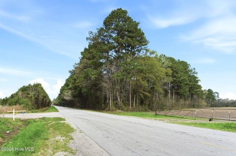 Tiny photo for 16 Deppe Road, Maysville, NC 28555 (MLS # 100565711)