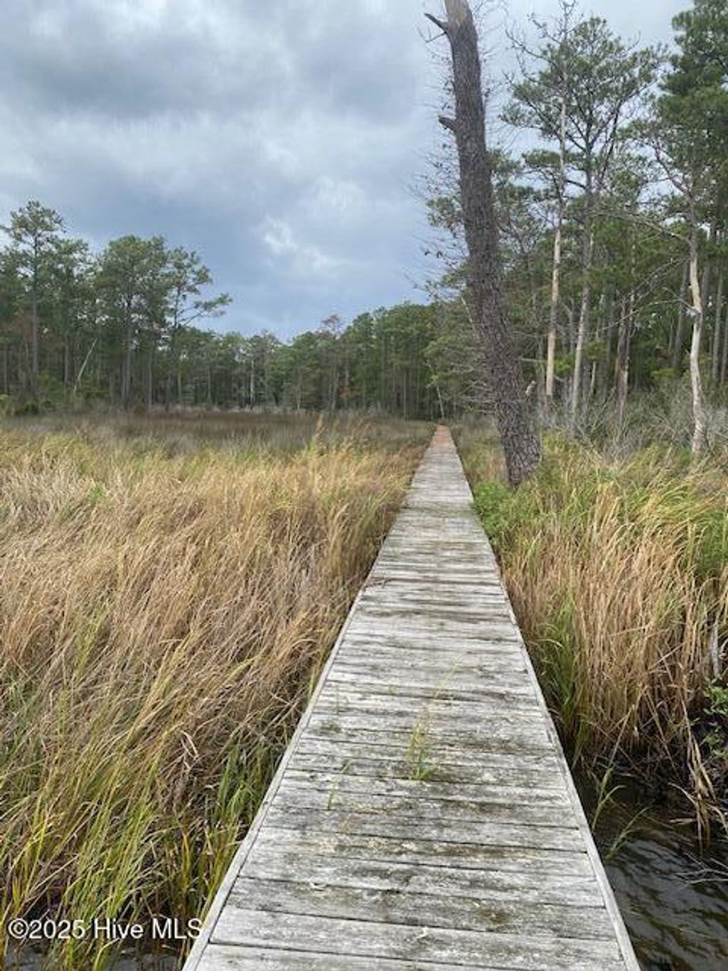 Photo of 8 Pine Crest Road, Bath, NC 27808 (MLS # 100533732)