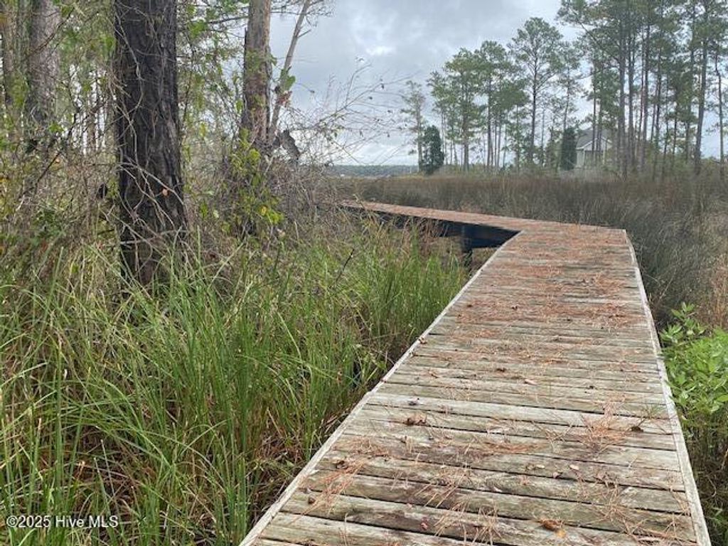 Photo of 8 Pine Crest Road, Bath, NC 27808 (MLS # 100533732)