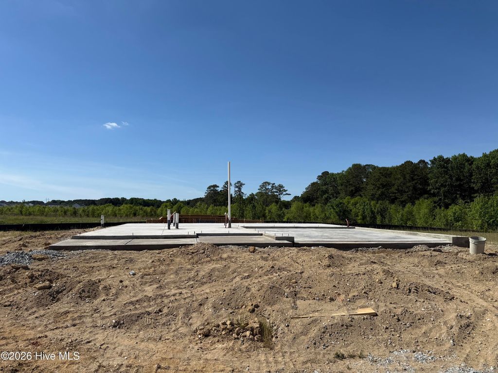 Photo of 45 Fiddleneck Court, Selma, NC 27576 (MLS # 100570677)
