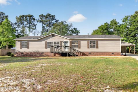 Photo of 130 Topsail Lake Drive, Hampstead, NC 28443 (MLS # 100568101)