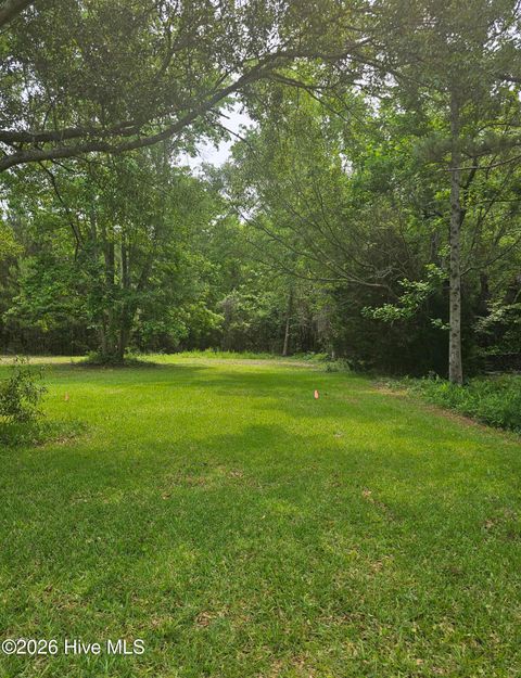 Photo of 222 Fulcher Landing Road, Sneads Ferry, NC 28460 (MLS # 100549955)