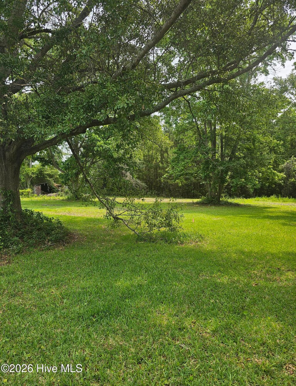 Photo of 222 Fulcher Landing Road, Sneads Ferry, NC 28460 (MLS # 100549955)