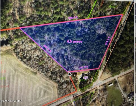 Vacant Land For Sale - Radford Road<br/> Princeton, NC 27569