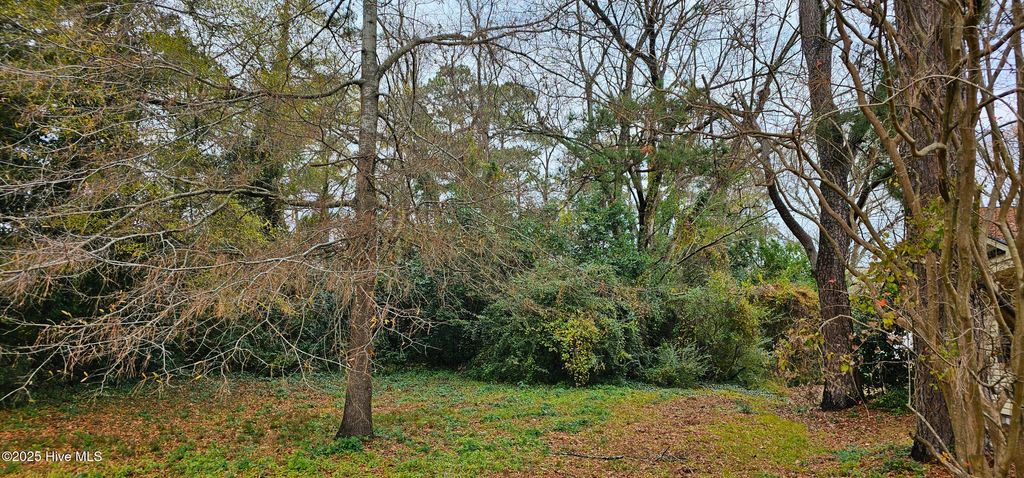 Photo of 207 E South Street E, Rose Hill, NC 28458 (MLS # 100545237)