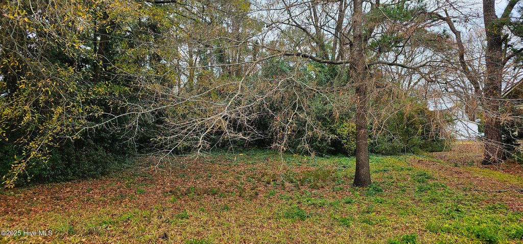 Photo of 207 E South Street E, Rose Hill, NC 28458 (MLS # 100545237)