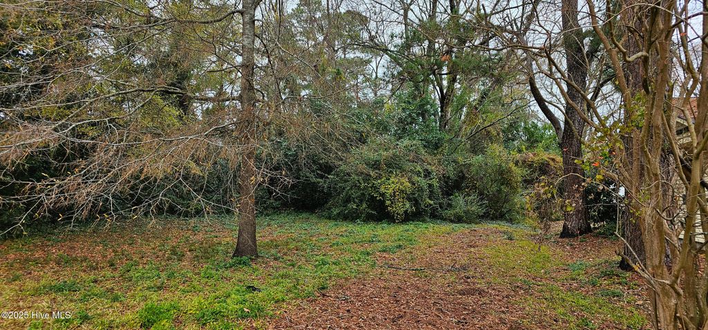 Photo of 207 E South Street E, Rose Hill, NC 28458 (MLS # 100545237)