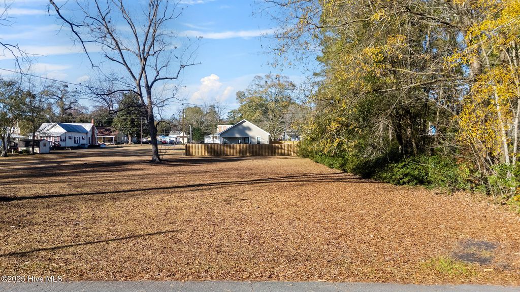 Photo of 207 E South Street E, Rose Hill, NC 28458 (MLS # 100545237)