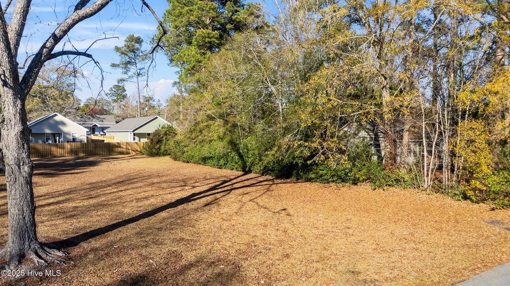 Photo of 207 E South Street E, Rose Hill, NC 28458 (MLS # 100545237)