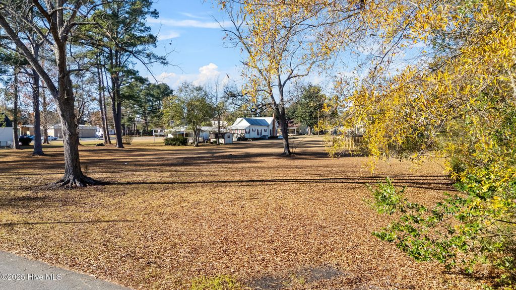 Photo of 207 E South Street E, Rose Hill, NC 28458 (MLS # 100545237)