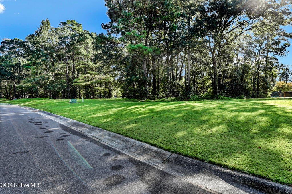 Photo of 211 Sycamore Forest Drive, Wallace, NC 28466 (MLS # 100602971)