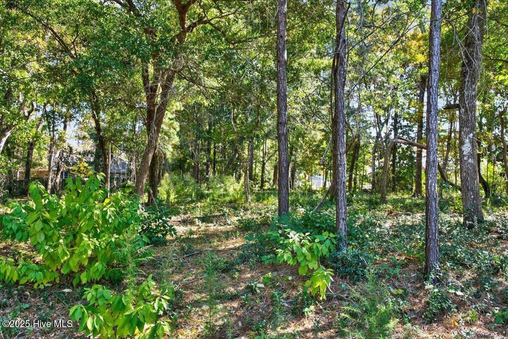 Photo of 8943 Tranquility Lane SW, Sunset Beach, NC 28468 (MLS # 100540070)