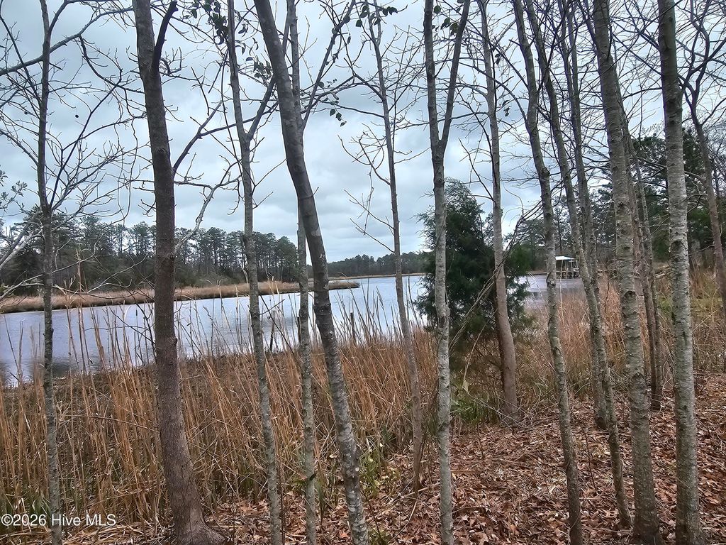 Photo of 251 Alligator Loop Road, Merritt, NC 28556 (MLS # 100561642)