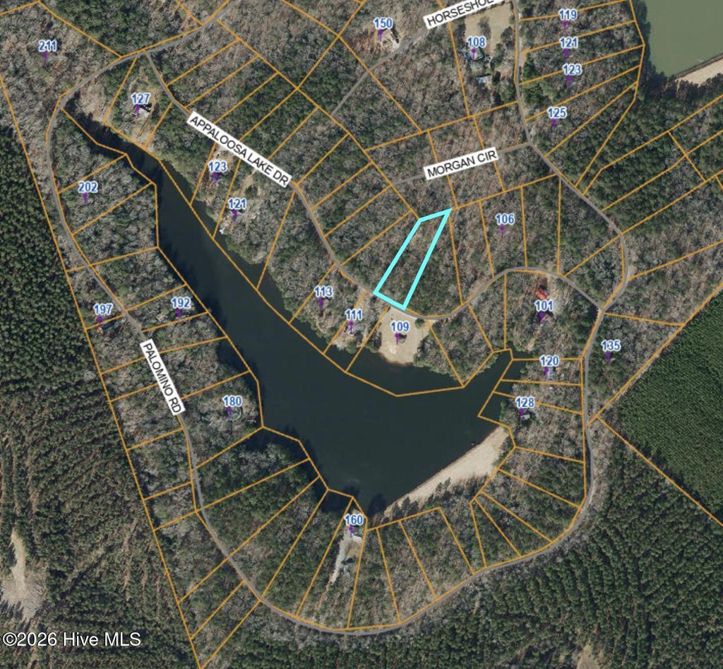 Photo of 84 Appaloosa Lake Drive, Carthage, NC 28327 (MLS # 100575916)