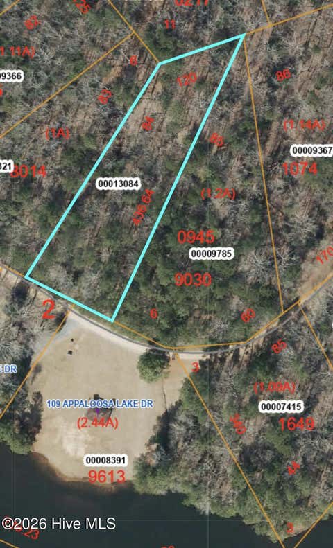 Vacant Land For Sale - LOT 84 Appaloosa Lake Drive<br/> Carthage, NC 28327