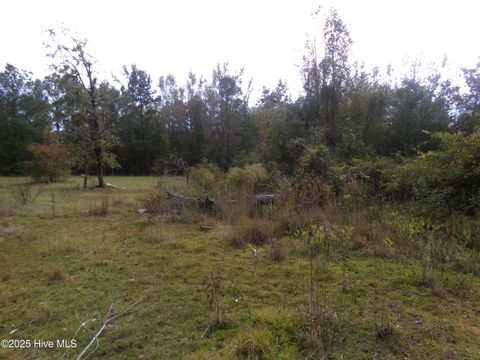 Vacant Land For Sale - LOT  44964 Big Island Road<br/> Bladen County, White Oak, NC 28399
