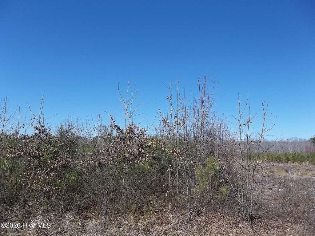 Photo of Tbd Boat Ramp Road, New Hope, NC 27944 (MLS # 100593946)
