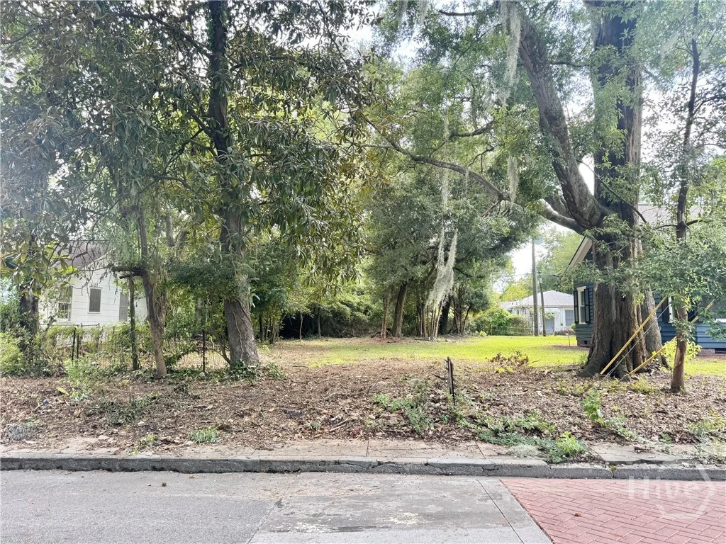 503 Durant Avenue