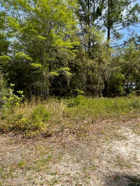 Photo of 1774 Balsam Drive SW, Supply, NC 28462 (MLS # 100590802)