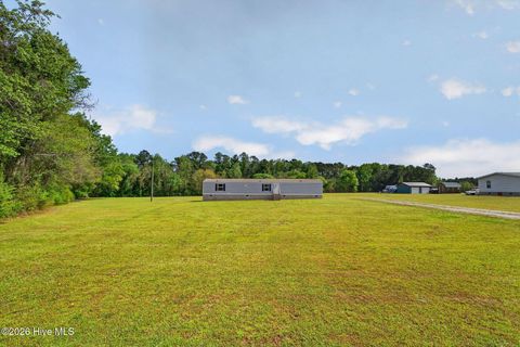 Tiny photo for 901 Test Farm Road, Willard, NC 28478 (MLS # 100567843)