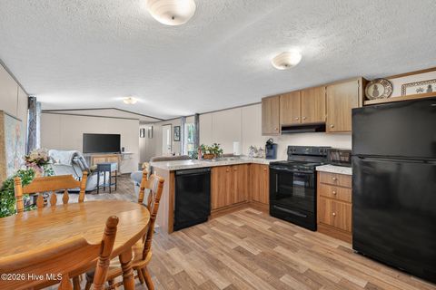 Tiny photo for 901 Test Farm Road, Willard, NC 28478 (MLS # 100567843)