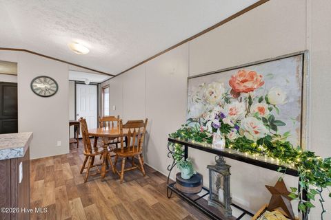 Tiny photo for 901 Test Farm Road, Willard, NC 28478 (MLS # 100567843)