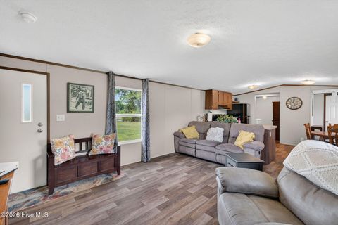 Tiny photo for 901 Test Farm Road, Willard, NC 28478 (MLS # 100567843)