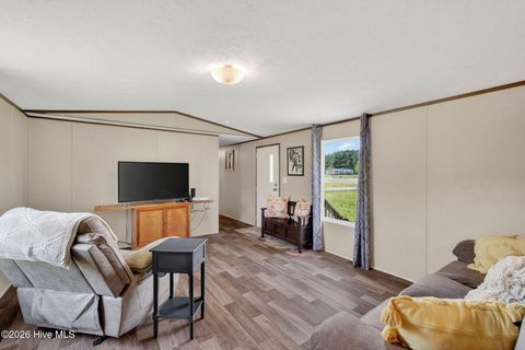 Tiny photo for 901 Test Farm Road, Willard, NC 28478 (MLS # 100567843)