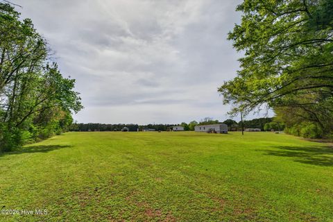 Tiny photo for 901 Test Farm Road, Willard, NC 28478 (MLS # 100567843)