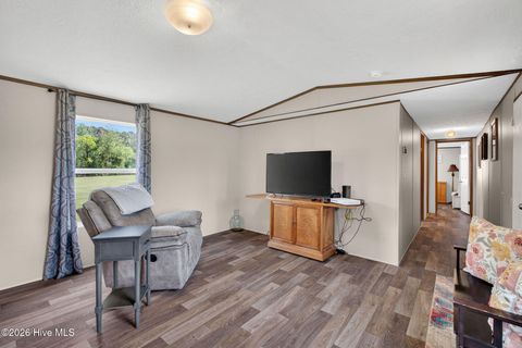 Tiny photo for 901 Test Farm Road, Willard, NC 28478 (MLS # 100567843)