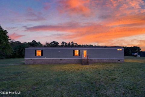 Tiny photo for 901 Test Farm Road, Willard, NC 28478 (MLS # 100567843)