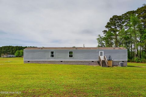 Tiny photo for 901 Test Farm Road, Willard, NC 28478 (MLS # 100567843)